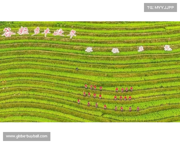 龙脊梯田摄影大赛启幕 稻作文化主题奖项独立设置